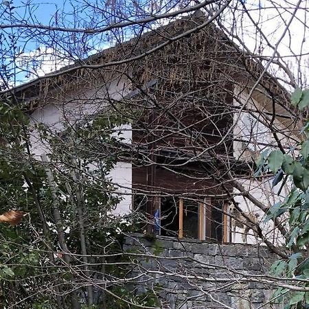 Ganze Ferienwohnung mit Garten Nähe Grotti Biasca Exterior foto