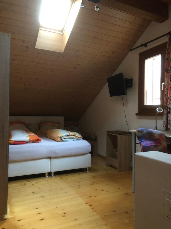Ganze Ferienwohnung mit Garten Nähe Grotti Biasca Exterior foto